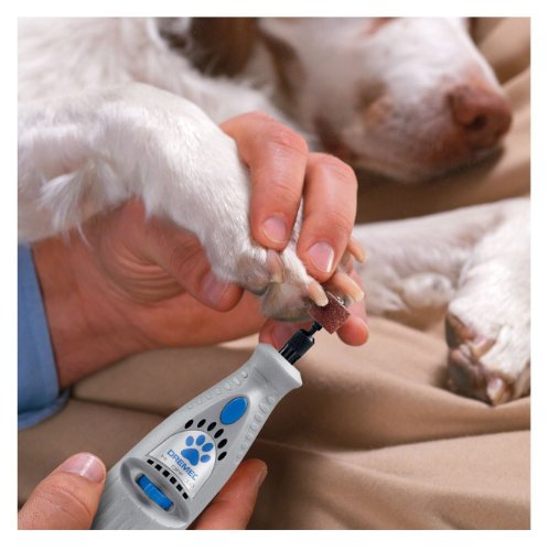 Use dog nail grinding tool to avoid having to sedate your dog