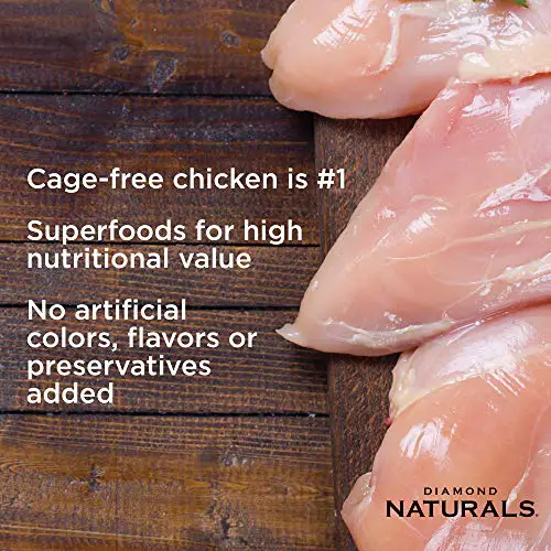 Lean cage free chicken in dog food without artificial ingredients
