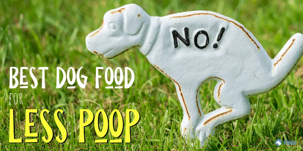 Best Low Fiber Dog Food for Less Poop