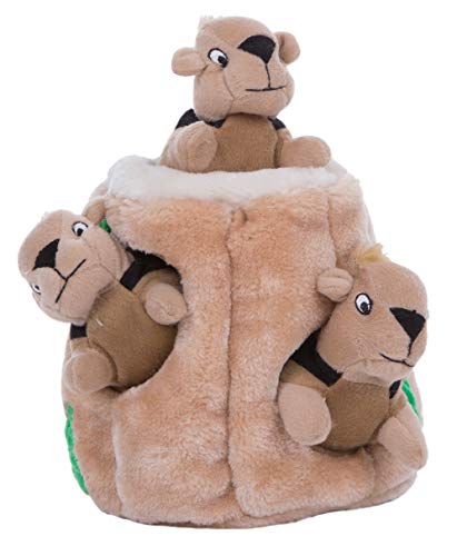 Kyjen squirrel hideout puzzle indoor dog time consuming toy