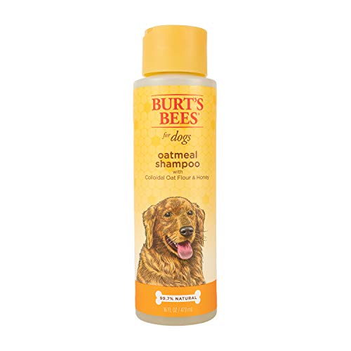 Burt's Bees for Dogs colloidal oatmeal shampoo honey review