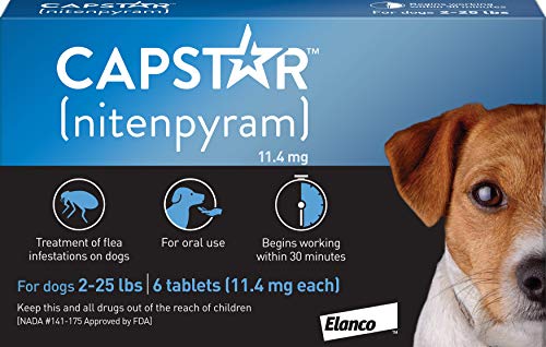 Should I stock up on flea tick medication during coronavirus quarantine