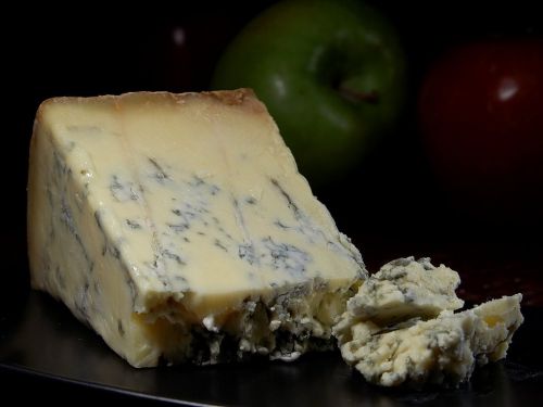 Is blue cheese stilton mold safe for dogs to eat potential dangers