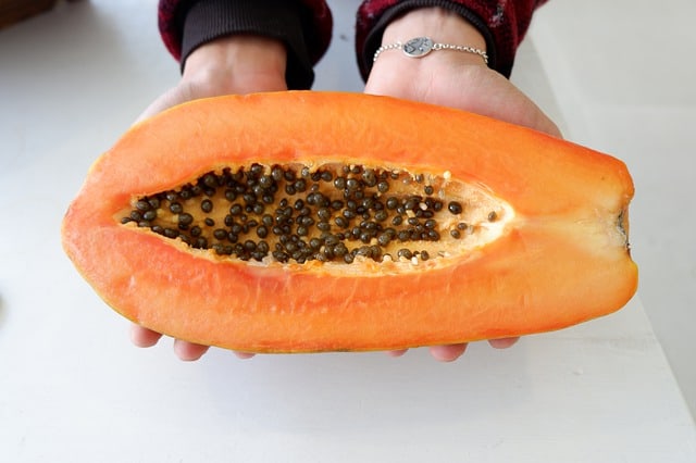 Are papaya seeds safe for dogs to consume cyanide poisoning danger choking hazard