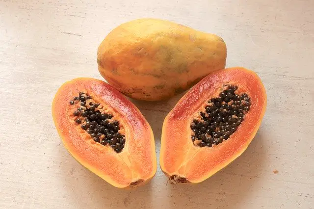 Best ways to serve papaya to your dog fresh frozen dehydrated canned