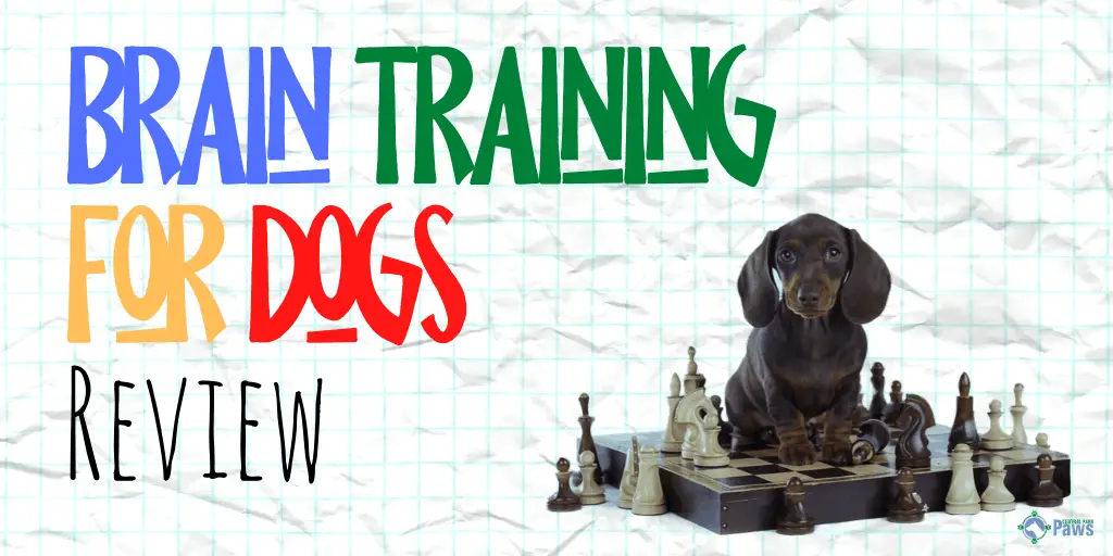 brain training for dogs review does it actually work