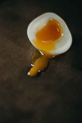 Can dogs eat eggs cooked boiled raw whites yolk avidin biotin