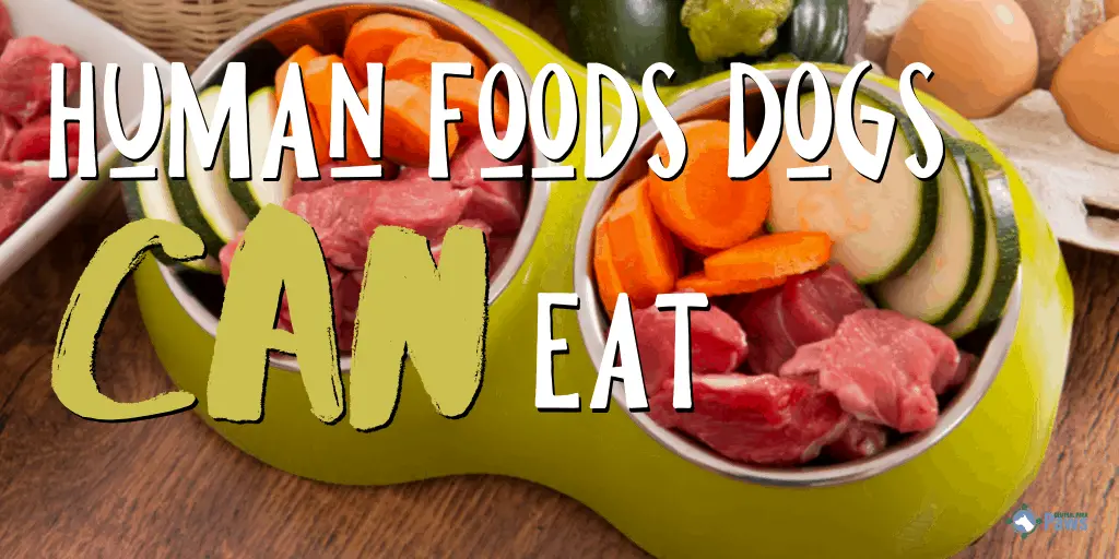 Human Foods Dogs Can Eat (And Are Good For Them!)