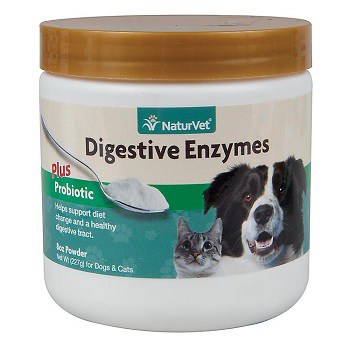 Papaya digestive enzyme supplement for dog GI health digestion