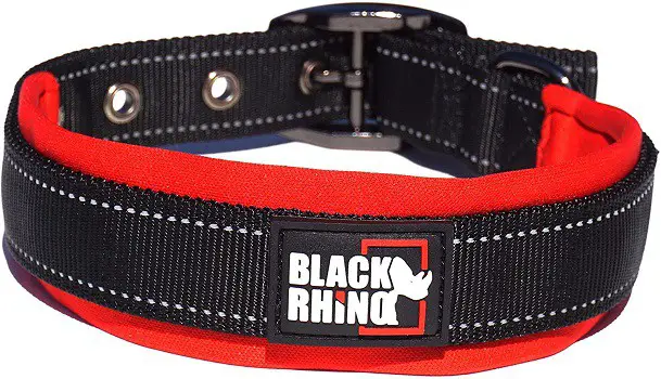 chew proof dog collar