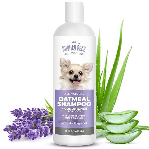 Is selsun blue safe for dogs outlet
