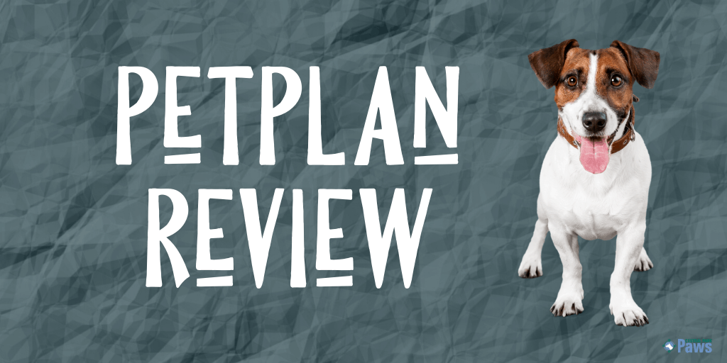 Petplan Pet Insurance Reviews