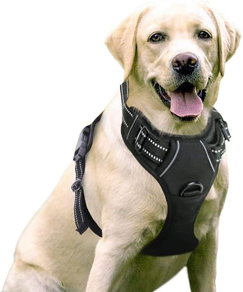 RabbitGoo Dog Harness upgrade pick dog harness top of the line choice