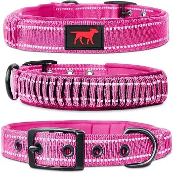 Tuff Pepper heavy duty dog collar nylon resists being torn apart by chewer