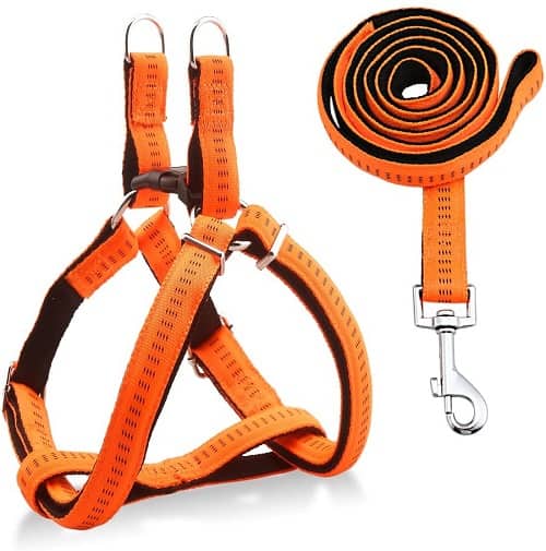 URPOWER Dog Harness good budget dog harness for little money