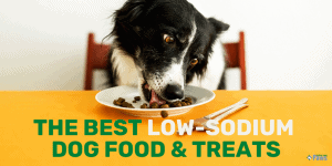 Best Low Sodium Dog Food and Treats