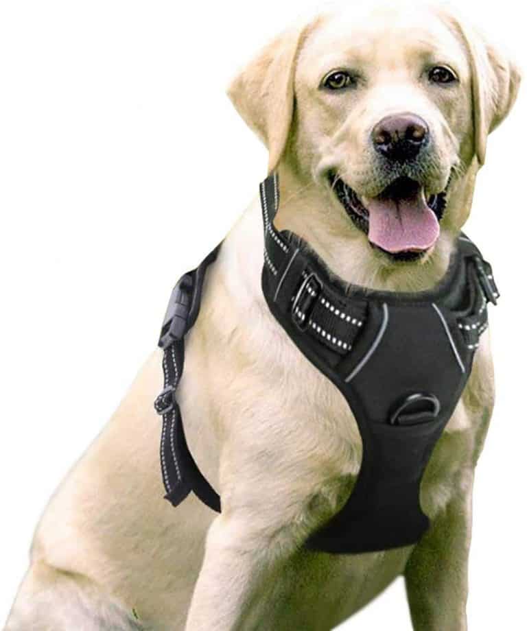 2021's 7 Best Indestructible, Chew Proof Dog Harnesses