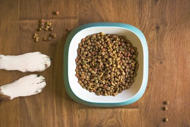 low salt dog treats