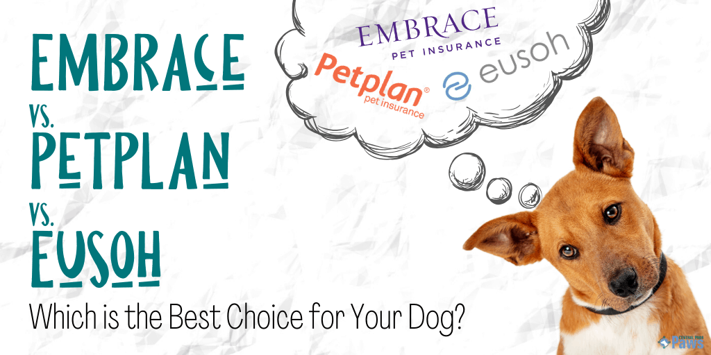 Embrace vs PetPlan vs Eusoh_ Which is the Best Pet Insurance Company