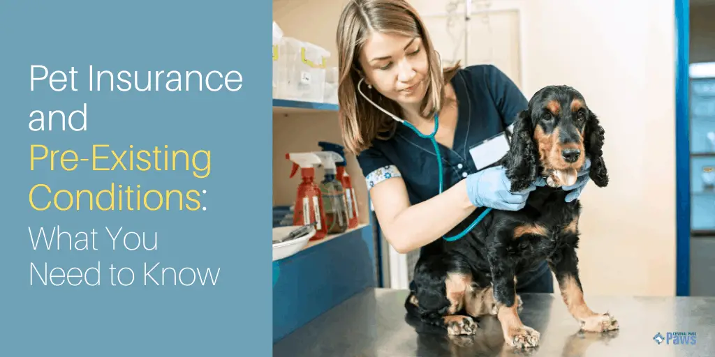 Pet Insurance and Pre-Existing Conditions: What You Need to Know