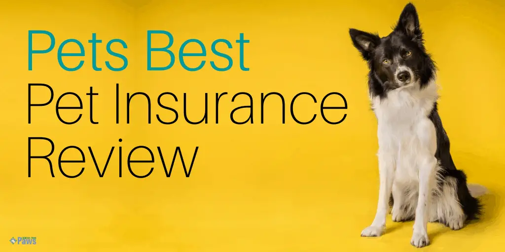 Pets Best Dog Insurance Review