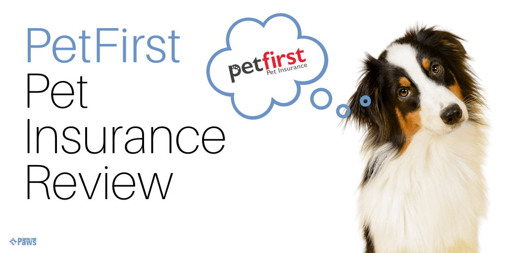 PetFirst Dog Insurance Review
