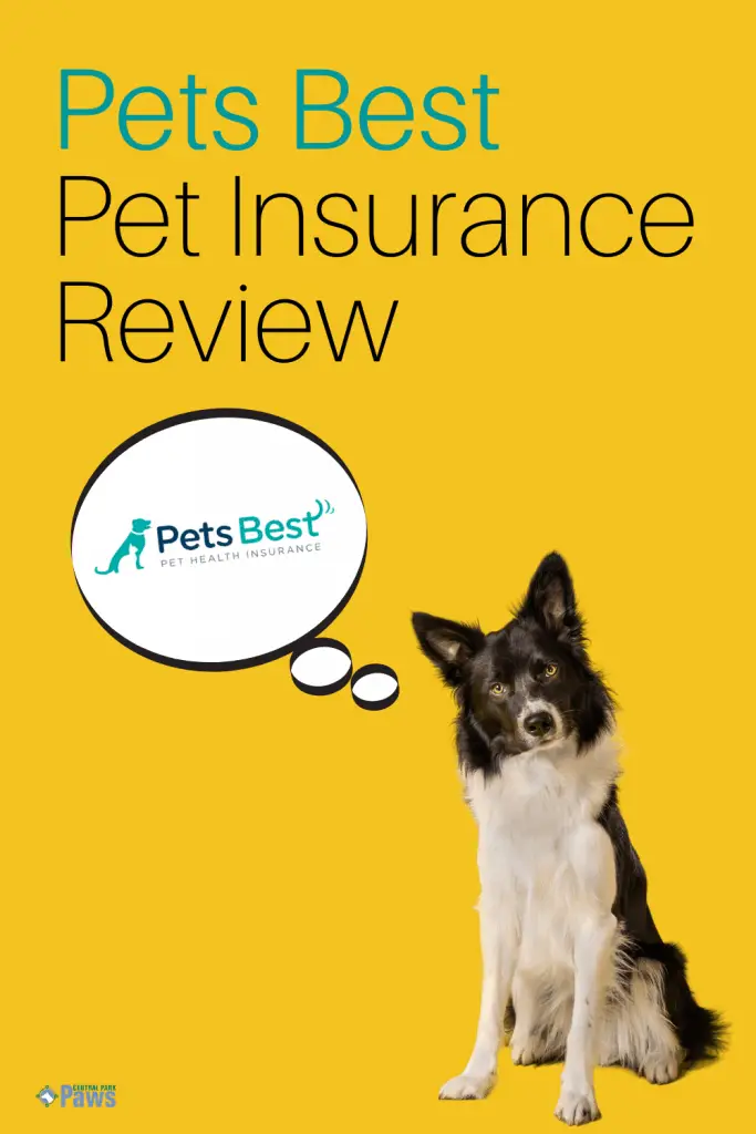 Pets Best Dog Insurance Review Pinterest