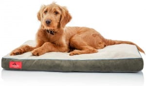Best budget indestructible dog bed Brindle memory foam