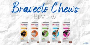 Bravecto Chews for Dogs Review