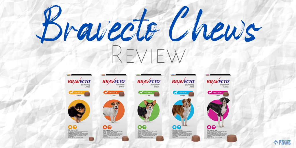 Bravecto Chews for Dogs Review