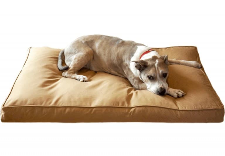 9 Best Indestructible (Chew Proof) Dog Beds [2021] Reviewed