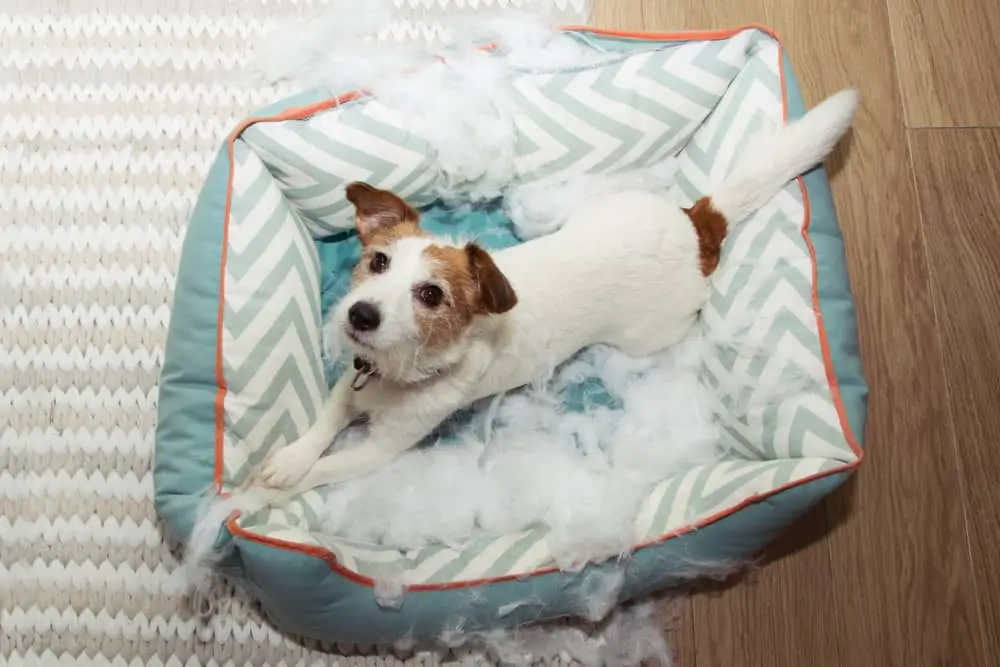 untearable dog bed