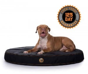 Gorilla ballistic indestructible orthopedic dog bed chew proof guarantee