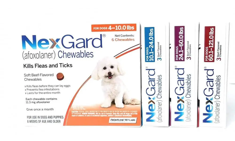 NexGard review chewable flea tick killer medication safety side effects