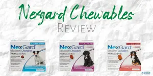 Nexgard Chewables for Dogs Review