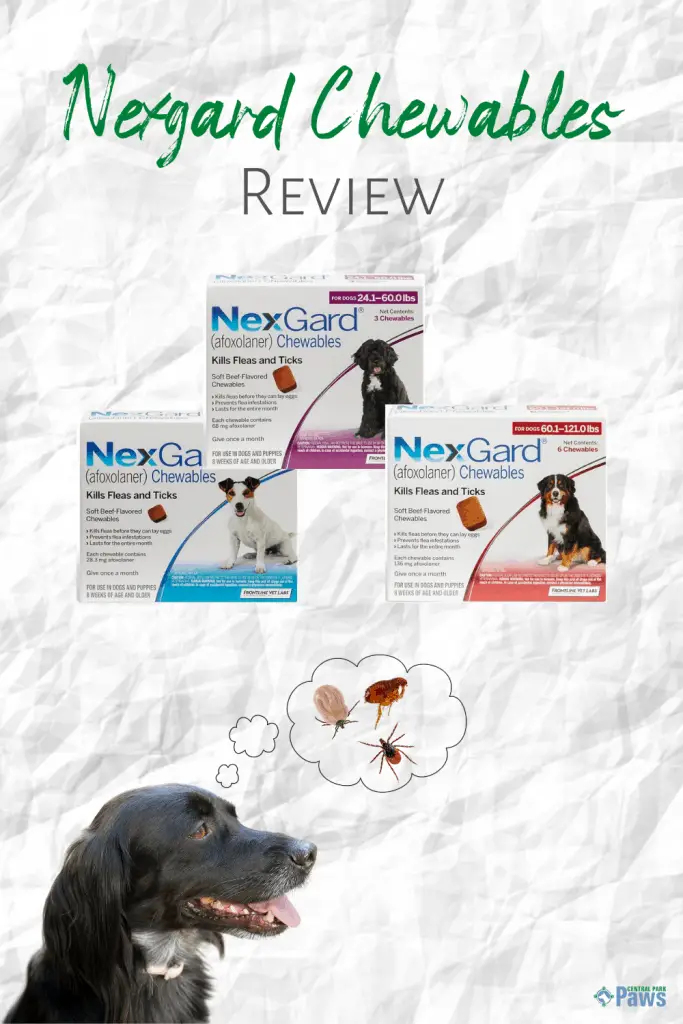 Nexgard Chewables for Dogs Review - Pinterest