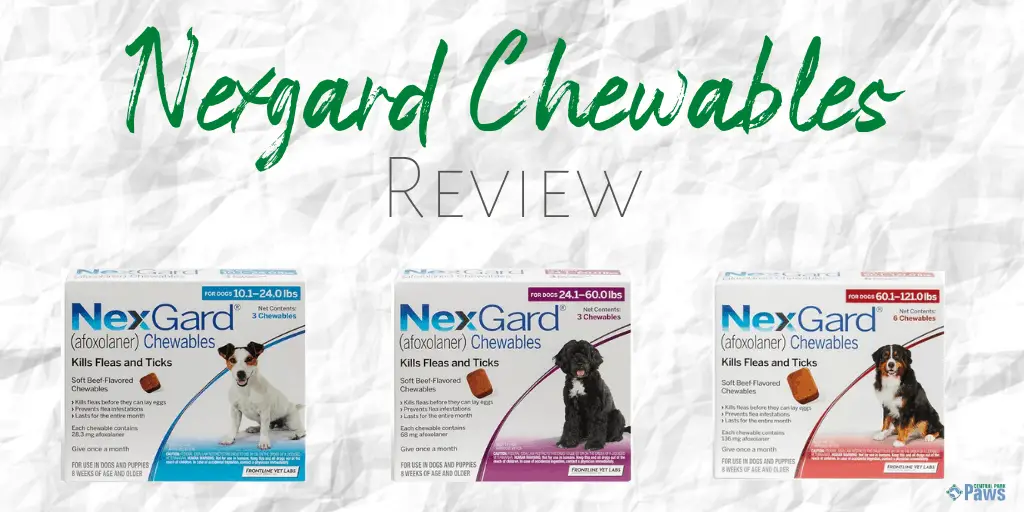 Nexgard Chewables for Dogs Review