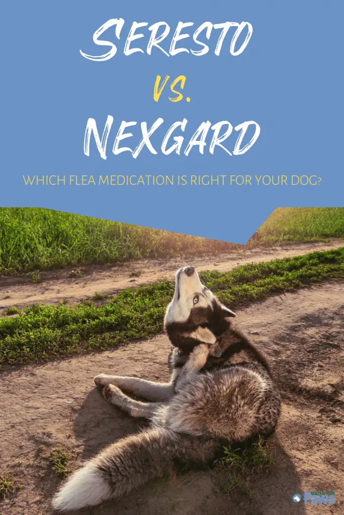 Seresto Collar vs Nexgard Chewables Flea Medication for Dogs - Pinterest
