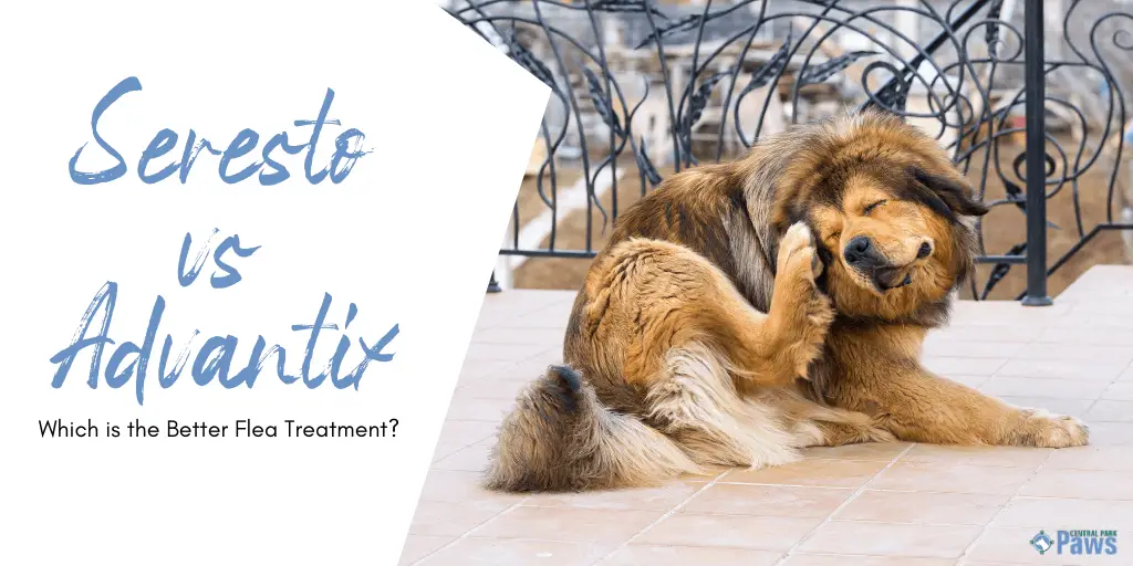 Seresto Flea Collar vs Advantix Topical Drops