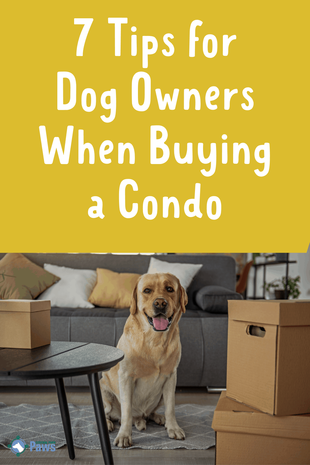 7 Tips for Dog Owners When Buying a Condo - Pinterest