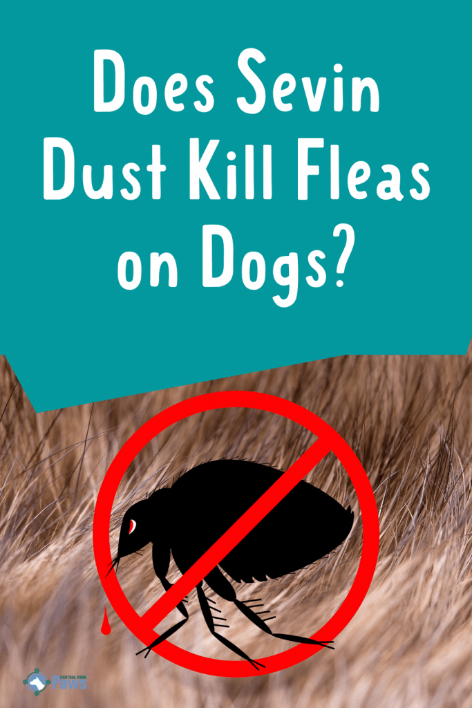 Does Sevin Dust Kill Fleas on Dogs - Pinterest