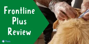 Frontline Plus Topical Flea and Tick Treatment for Dogs Review