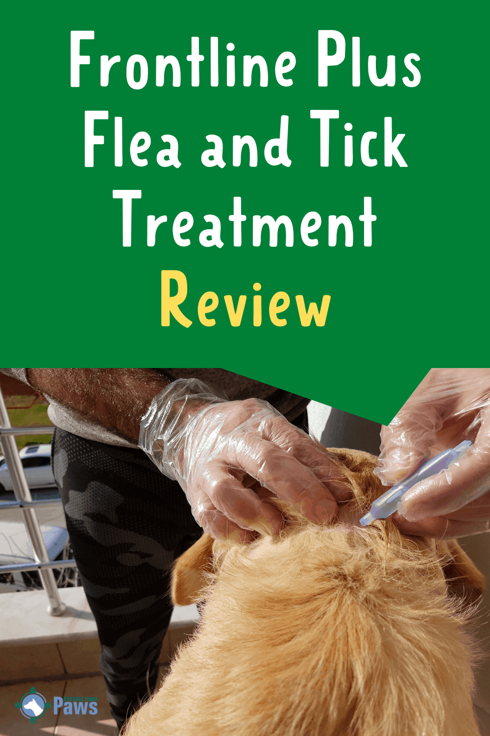 Frontline Plus Topical Flea and Tick Treatment for Dogs Review - Pinterest