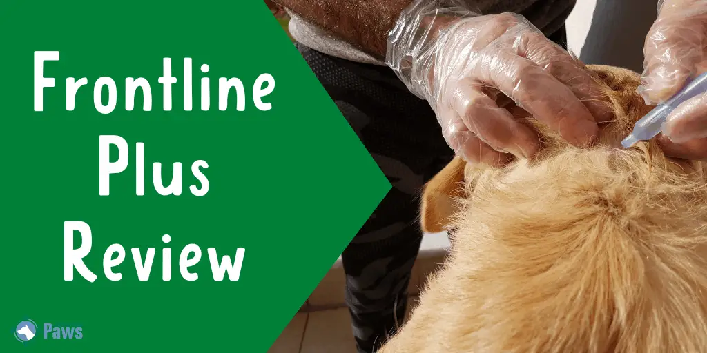 Frontline Plus Topical Flea and Tick Treatment for Dogs Review