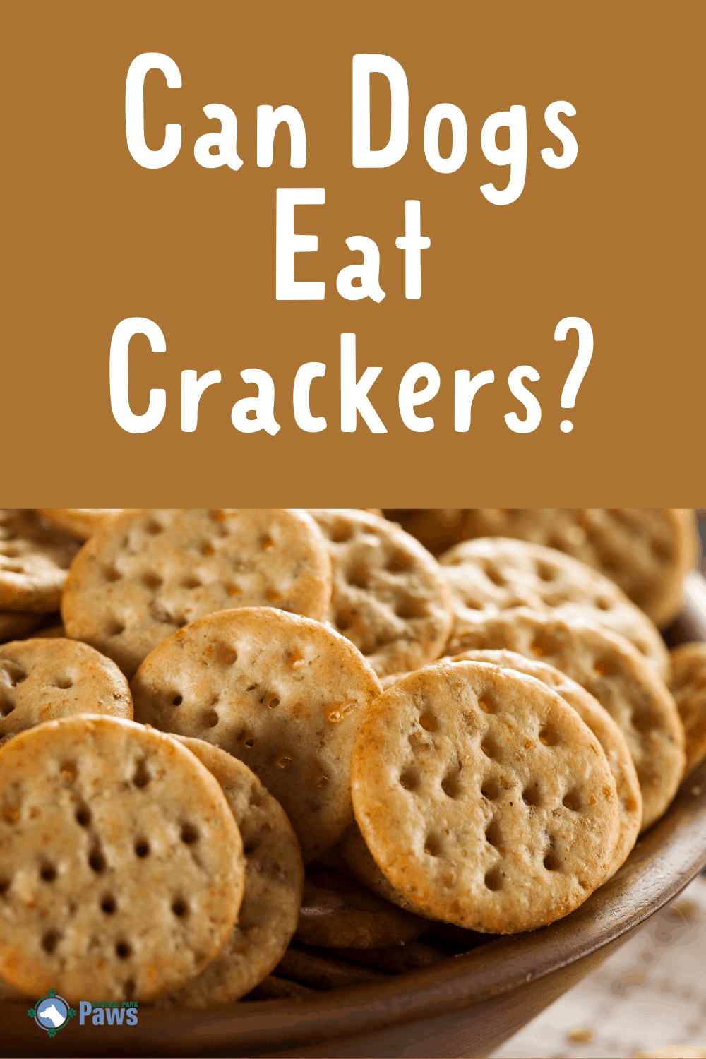 Can Dogs Eat Crackers? Should You Share Cheese, Ritz, And Graham Crackers?