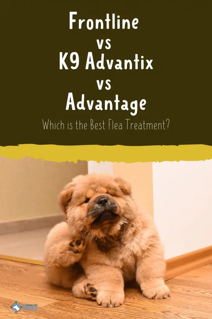 Frontline Plus vs K9 Advantix vs Advantage Flea Treatments Pinterest