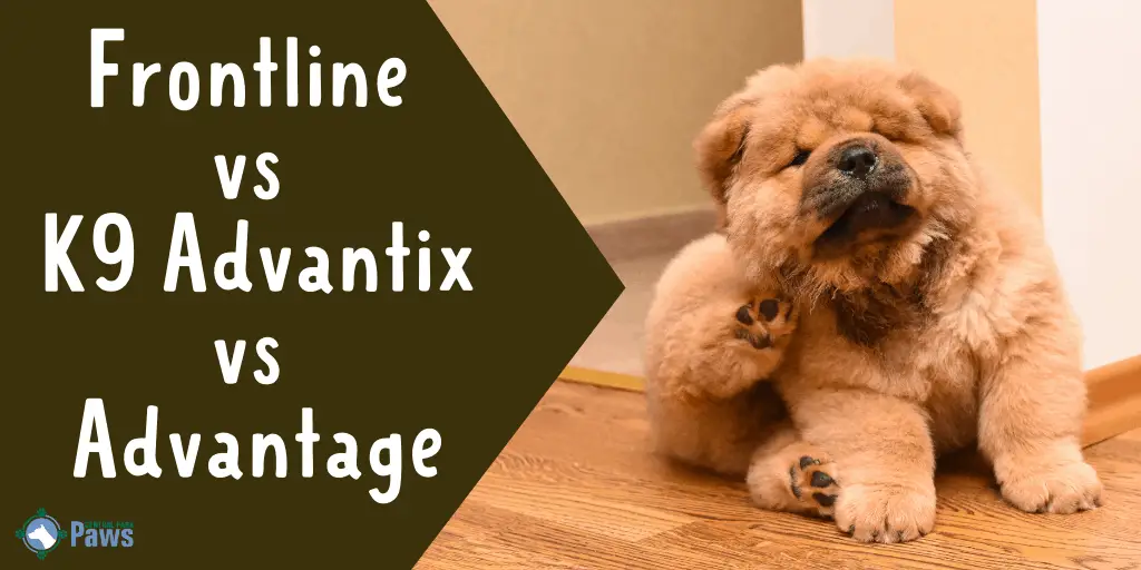 Frontline Plus vs K9 Advantix vs Advantage Flea Treatments