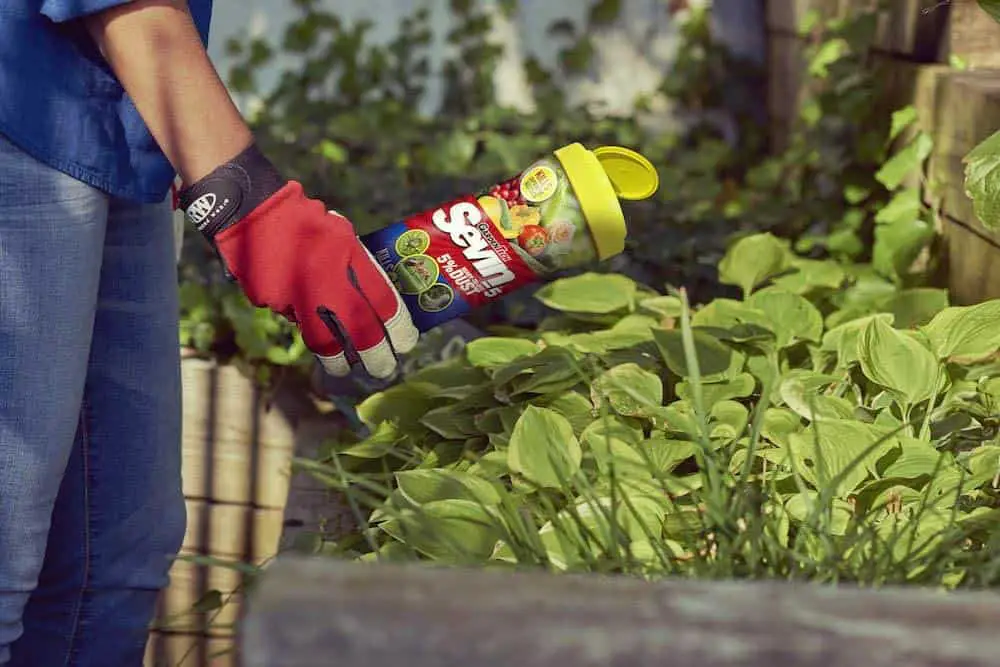 How to use Sevin Dust to kill fleas insects pests safely without hurting pets