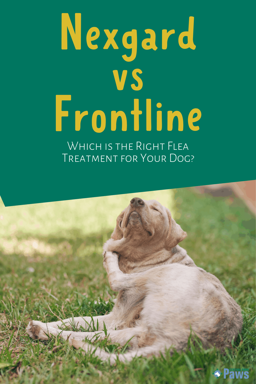 Nexgard Chewables for Dogs vs Frontline Plus Flea and Tick Treatment - Pinterest