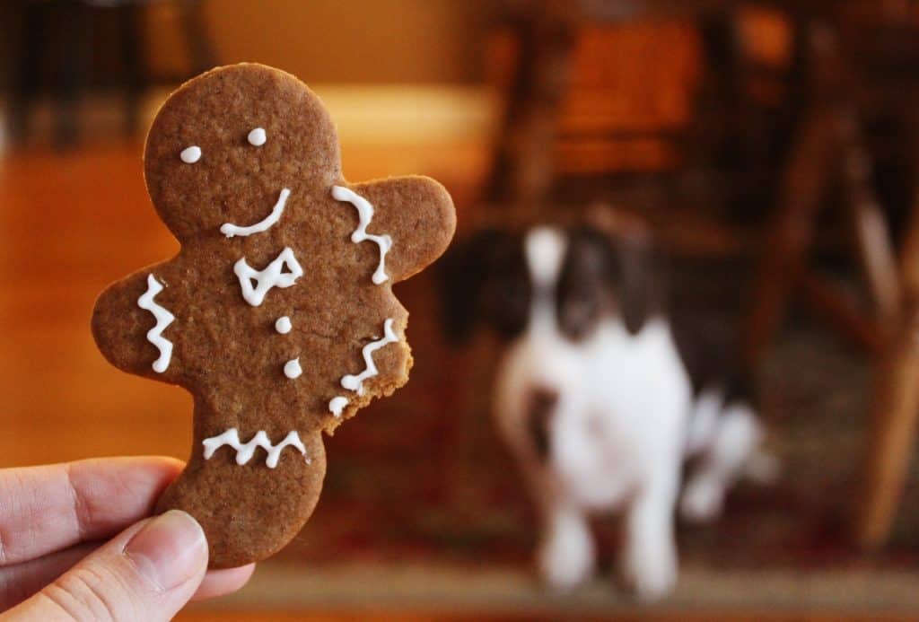 Can dogs eat crackers full of sodium sugar fat unhealthy for dogs